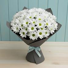 Букет цветов из:  Хризантемы #REPLACE_PRED# Мещерское