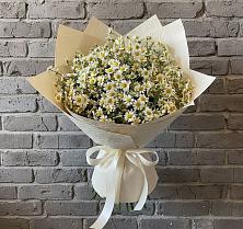Букет цветов из:  Ромашки в Мещерское