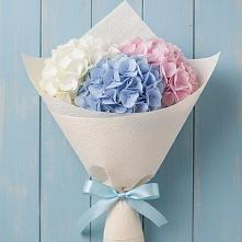 Букет цветов из:  Гортензия в Мещерское