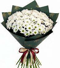 Букет цветов из:  Хризантемы в Мещерское