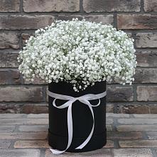 Цветочная композиция из Гипсофила в шляпной коробке #REPLACE_PRED# Мещерское