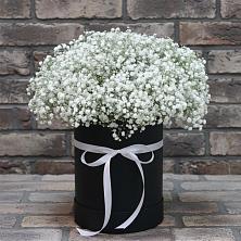 Цветочная композиция из Гипсофила в шляпной коробке в Мещерское