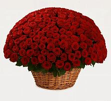 Премиум букет из: Розы в Мещерское