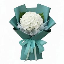 Букет цветов из:  Гортензия в Мещерское